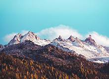 kai云体育app下载官网——开启你的极致体育体验